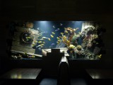 Shipwreck_tavern_aquarium